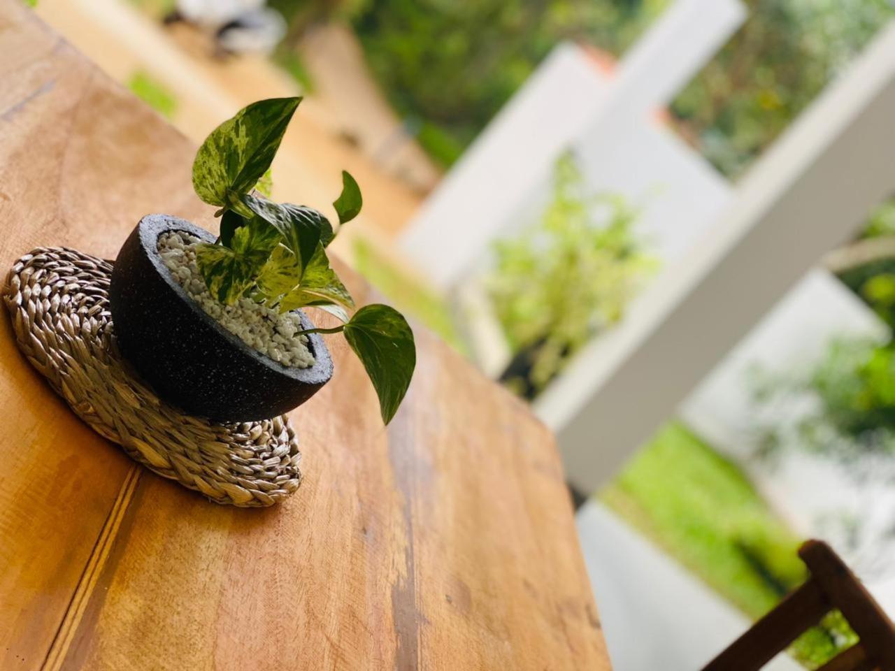 Bunty Villa Talalla South المظهر الخارجي الصورة